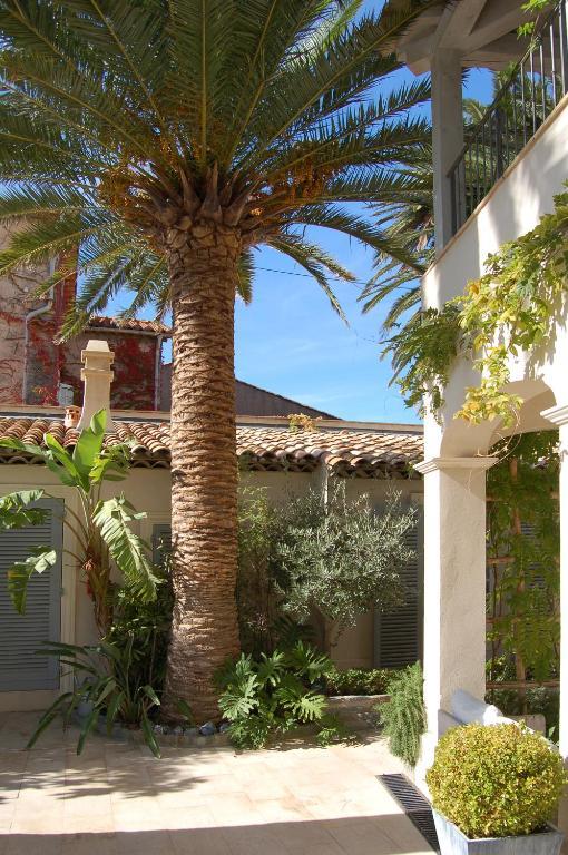 Pastis Hotel St Tropez Saint-Tropez Zewnętrze zdjęcie